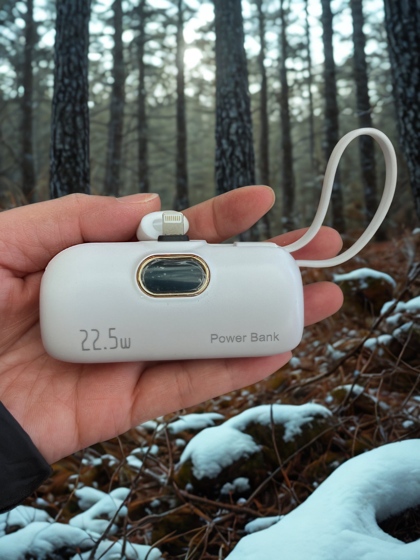 Mini Capsule Power Bank with Lightning & Type C Plugs